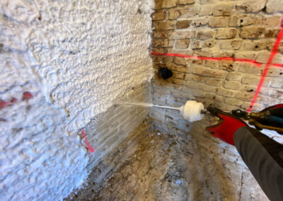 Sanierung-hausschwamm-gebauedepilz